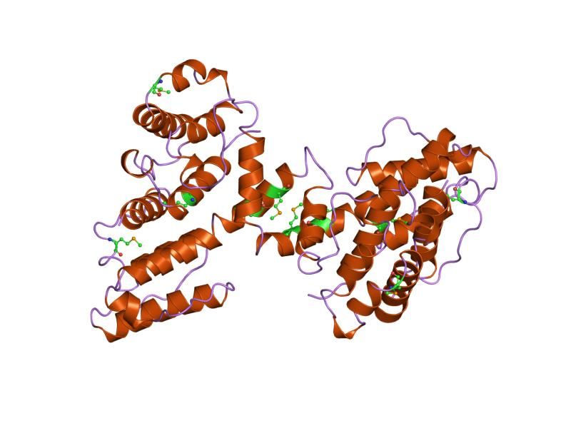 File:PDB 1qag EBI.jpg