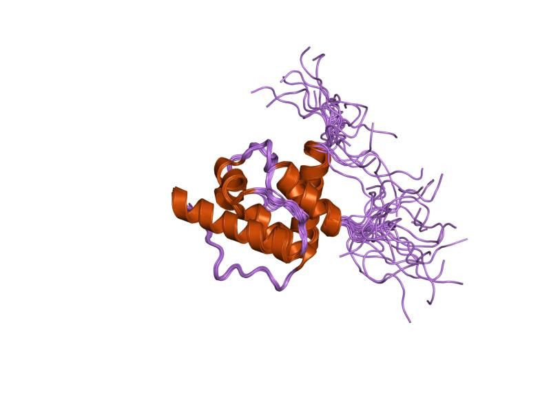 File:PDB 1wjo EBI.jpg