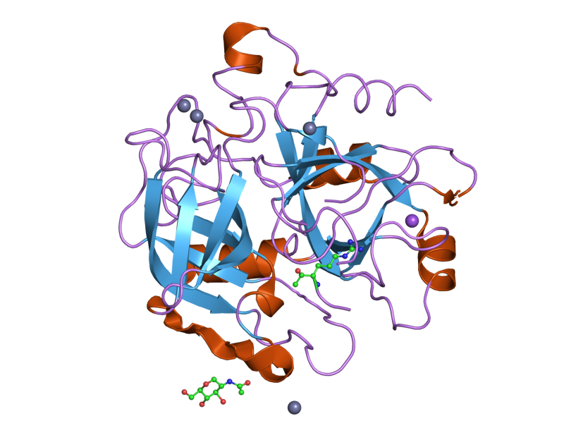 File:PDB 1z8i EBI.png