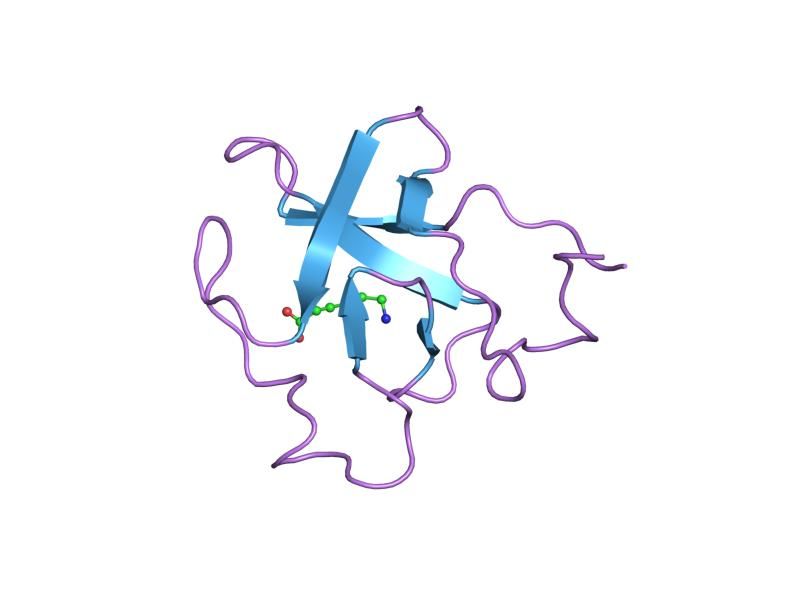 File:PDB 2pk4 EBI.jpg