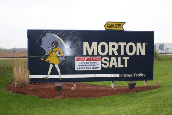 File:Rittman Morton Salt.jpg