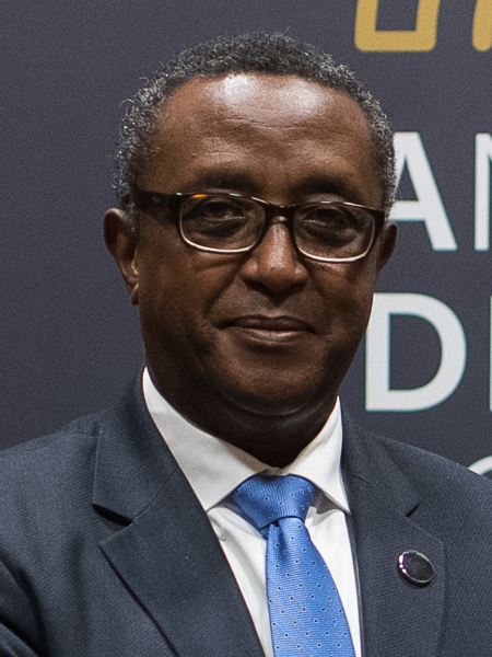 File:Vincent Biruta cropped.png