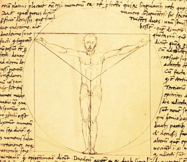 File:Vitruvian Man by Giacomo Andrea.jpg