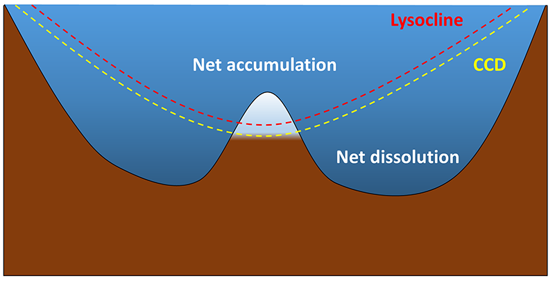 File:Calcareous sediment in the ocean.png