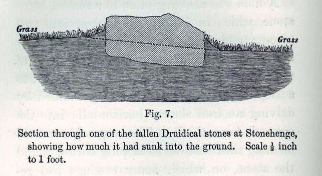 File:Darwin, Earthworm, Fig. 7.JPG