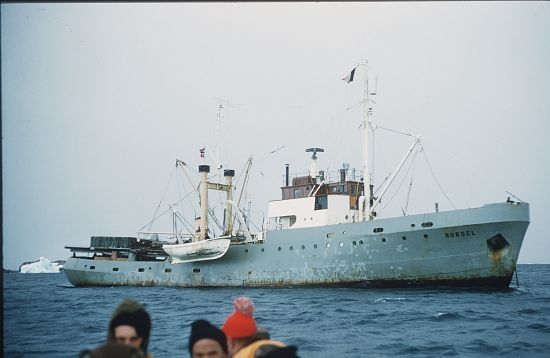 File:MV Norsel.jpg