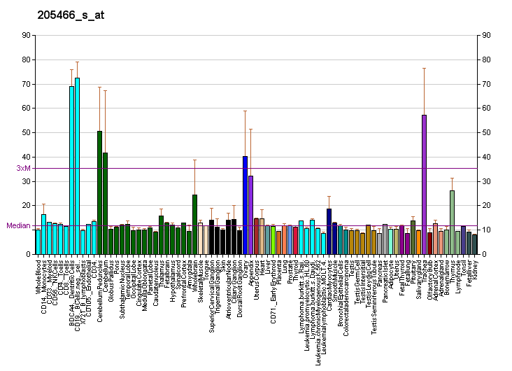 File:PBB GE HS3ST1 205466 s at fs.png