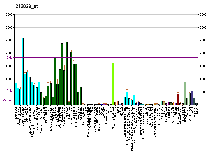 File:PBB GE PIP5K2A 212829 at fs.png