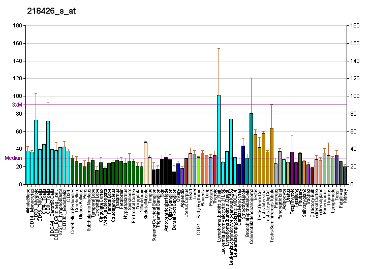 File:PBB GE TRIAD3 218426 s at fs.png