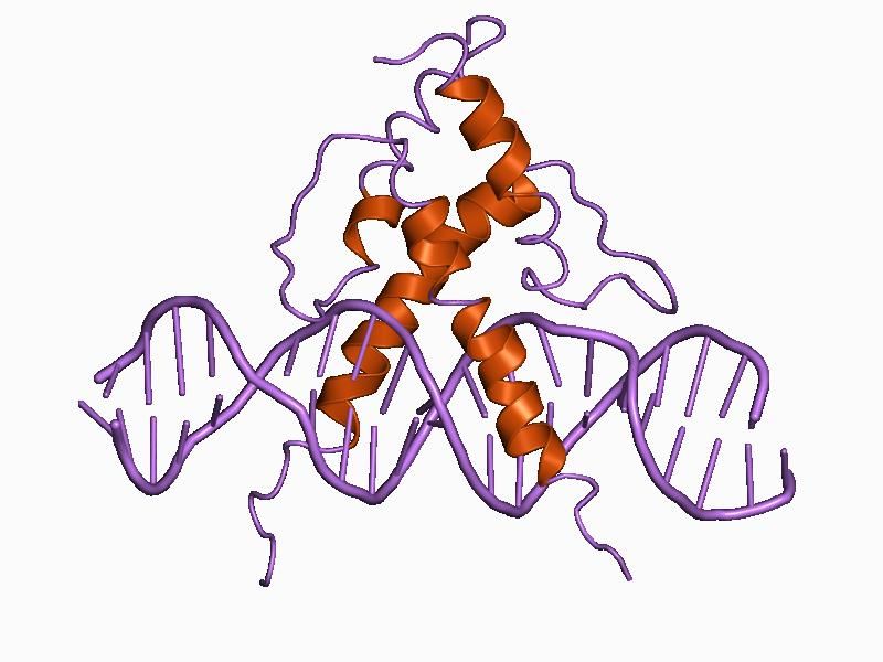 File:PDB 1an4 EBI.jpg