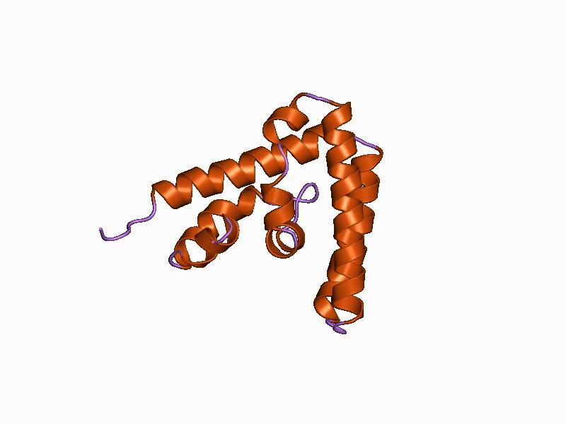 File:PDB 1bgf EBI.jpg