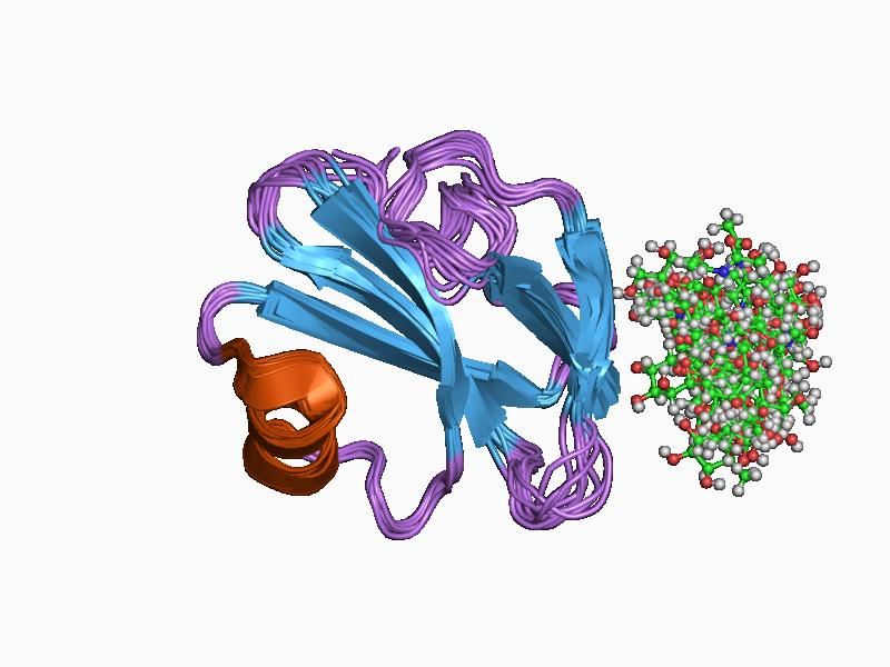 File:PDB 1cdr EBI.jpg