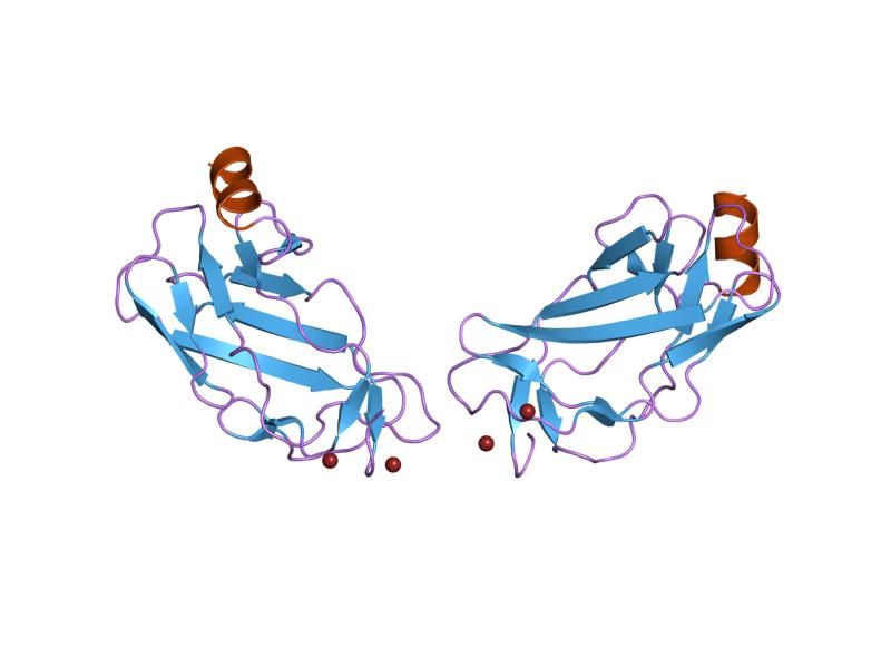 File:PDB 1eao EBI.jpg