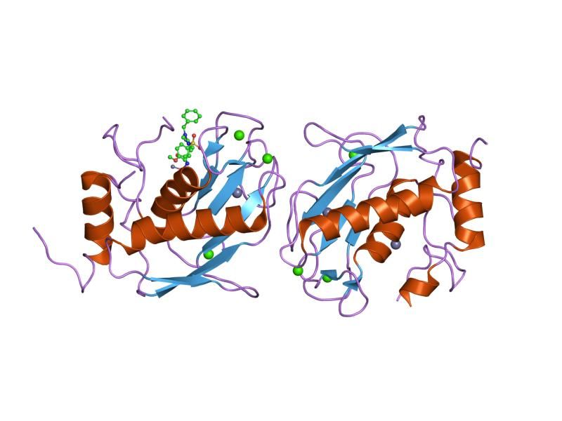 File:PDB 1g05 EBI.jpg