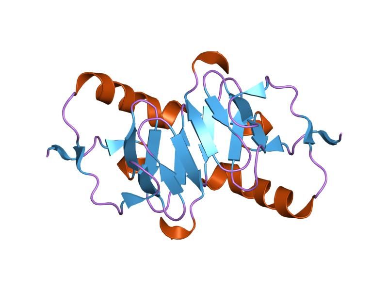 File:PDB 1jk6 EBI.jpg