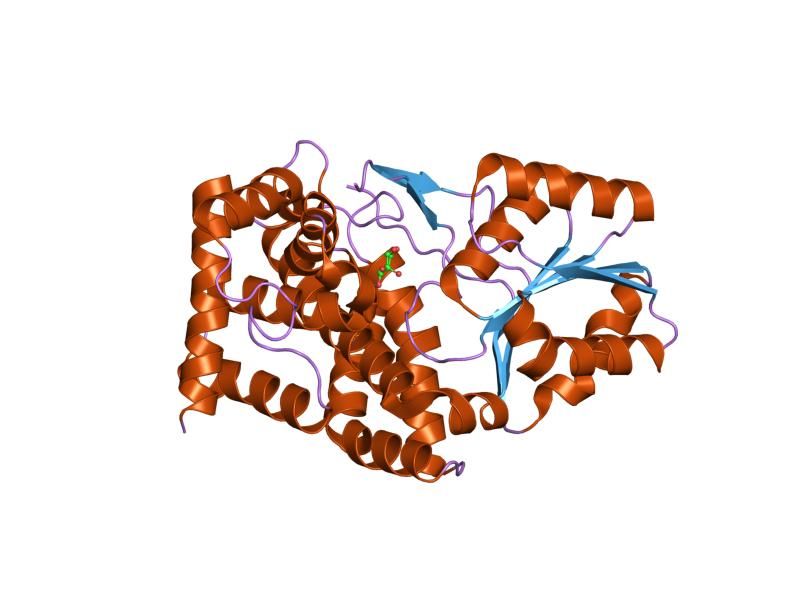 File:PDB 1jqa EBI.jpg