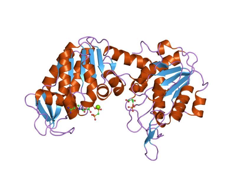 File:PDB 1kf0 EBI.jpg