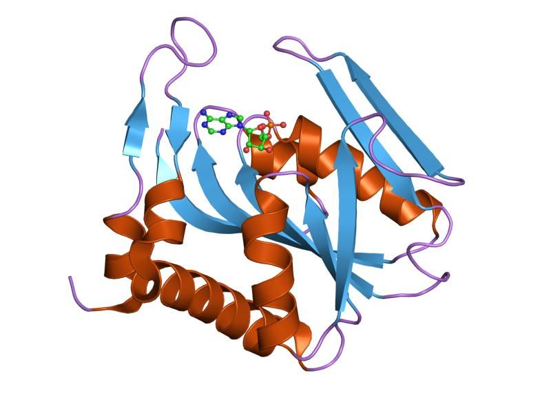 File:PDB 1ore EBI.jpg