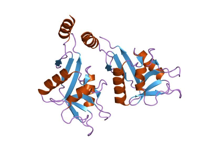 File:PDB 1xar EBI.jpg