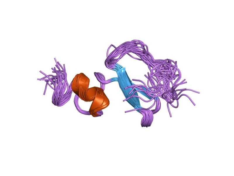 File:PDB 1xut EBI.jpg