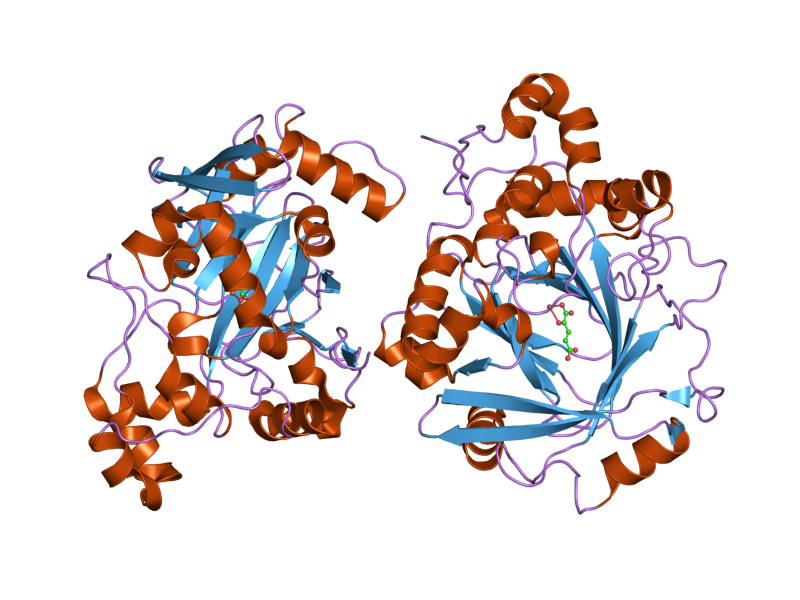 File:PDB 2gp5 EBI.png