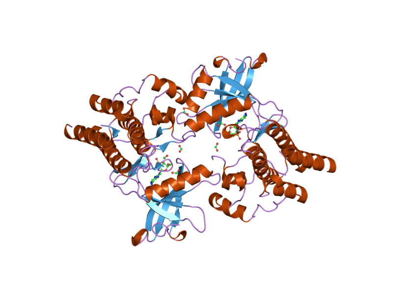 File:PDB 2ivs EBI.png