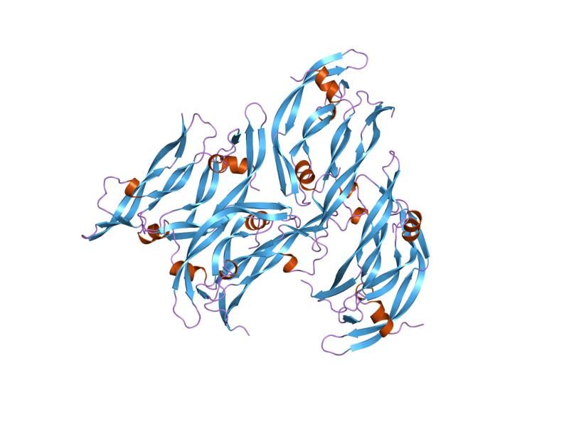 File:PDB 2vpf EBI.jpg