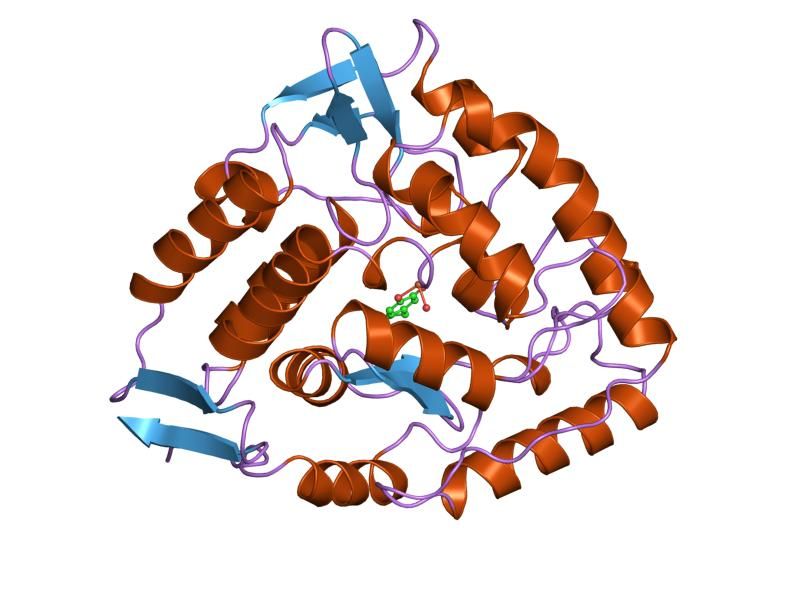 File:PDB 5pah EBI.jpg