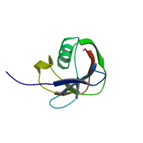 File:Protein CD5 (PBB).jpg