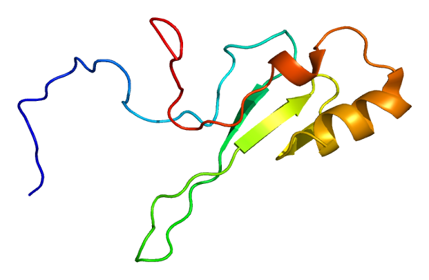 File:Protein MECP2 PDB 1qk9.png