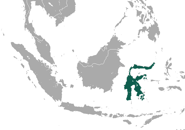 File:Sulawesi Bear Cuscus area.png