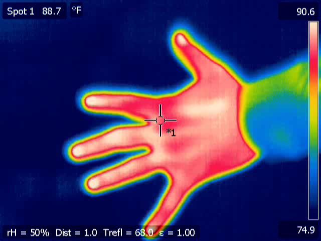 File:Thermal image - hand - 1.jpg