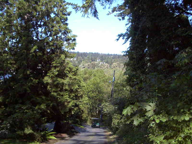 File:YarrowPt NE 42nd Street Looking East.jpg