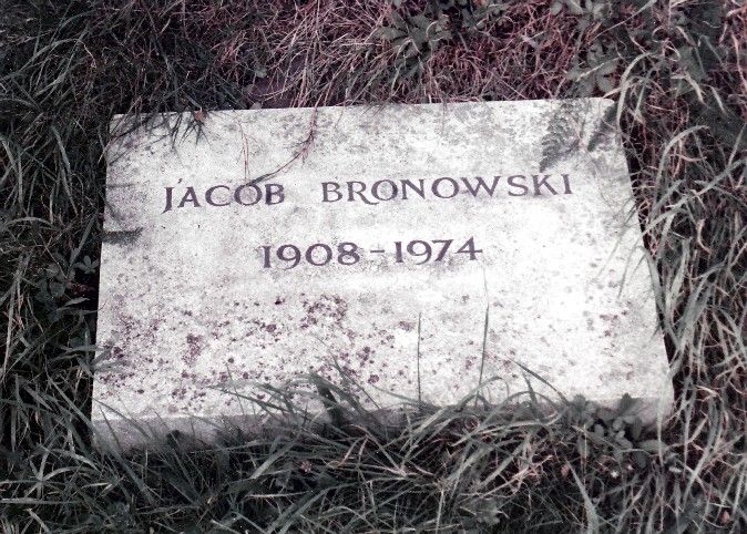 File:Bronowski-marker.jpg