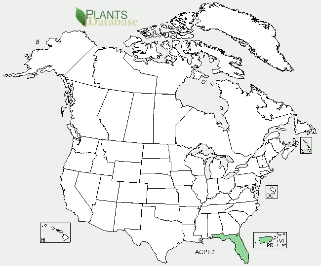 File:Distribution of Actinostachys pennula in the USA.png