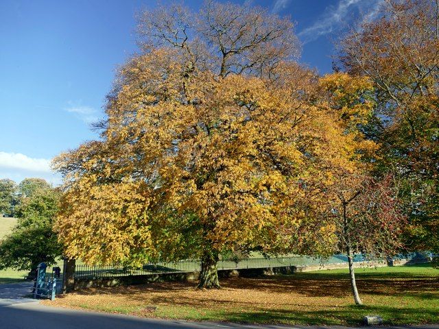 File:Entrance to Edensor Village.jpg