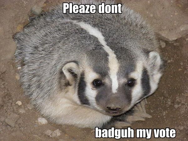 File:Lolbadger.jpg