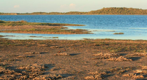 File:Malagasy plover breeding habitat.png