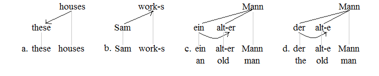 Morphological dependencies 1