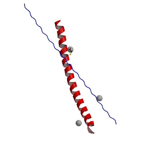 File:PBB Protein CEBPB image.jpg