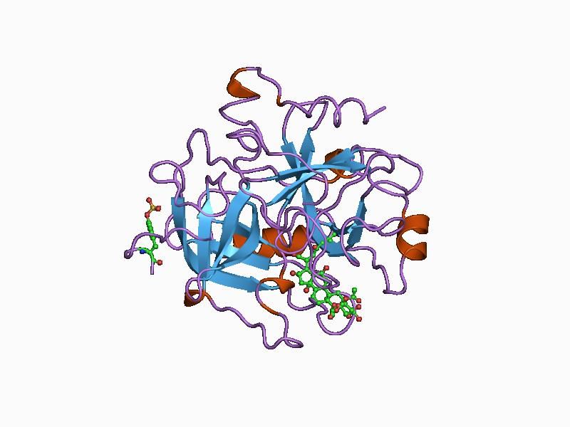 File:PDB 1awf EBI.jpg