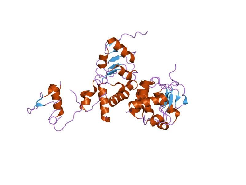 File:PDB 1fo1 EBI.jpg