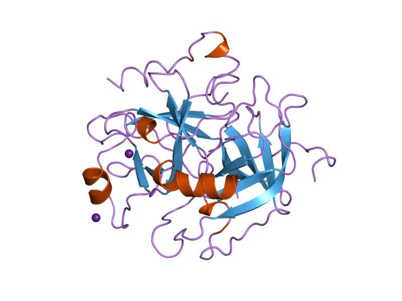 File:PDB 1hxe EBI.jpg