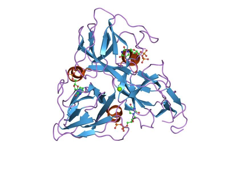 File:PDB 1q5h EBI.jpg