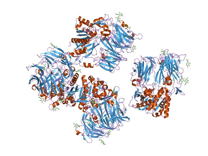 File:PDB 1r9n EBI.jpg