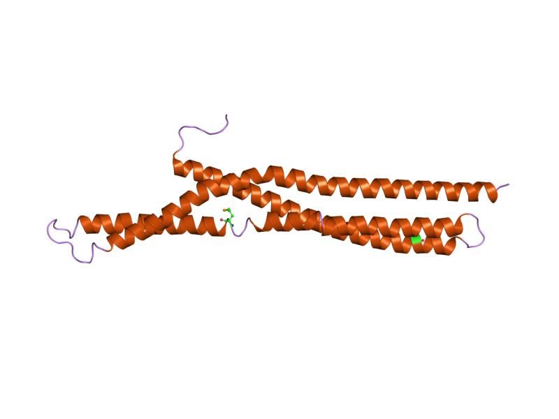 File:PDB 1uru EBI.jpg