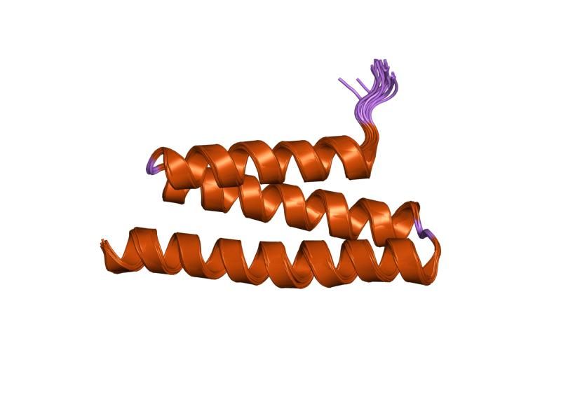 File:PDB 1yxr EBI.jpg