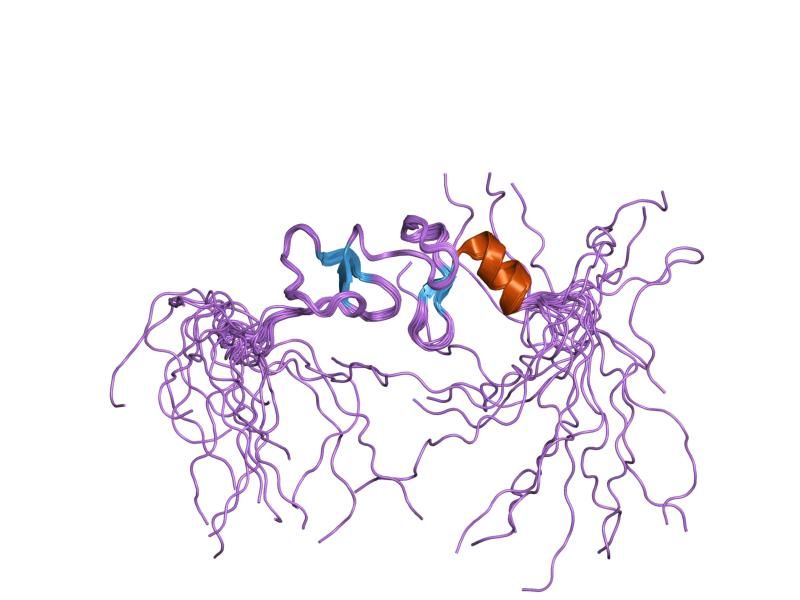 File:PDB 2d8y EBI.jpg