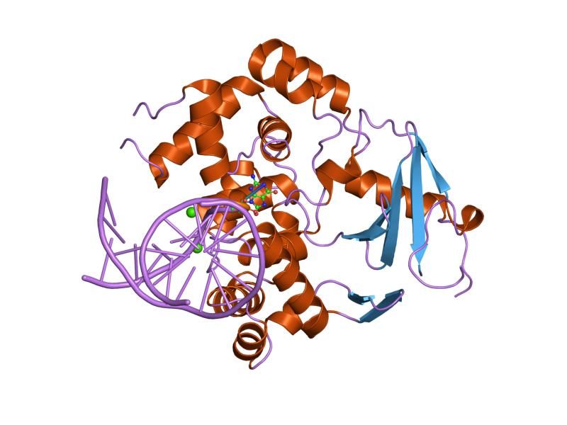 File:PDB 2noz EBI.jpg