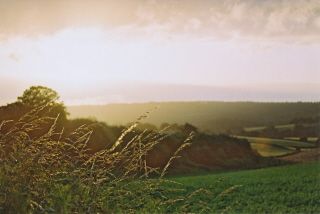 File:Abinger Common Fields.jpg